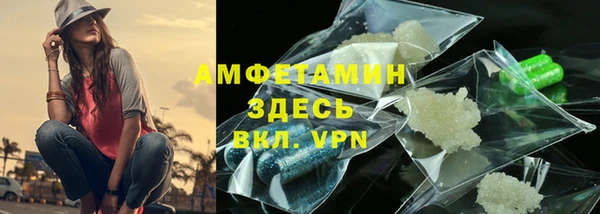 гидра Новодвинск