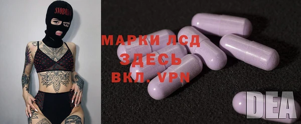 тгк Новозыбков