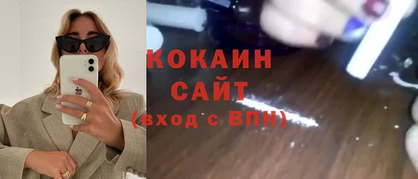 тгк Новозыбков