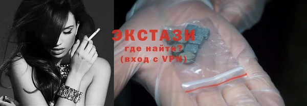сатива Няндома