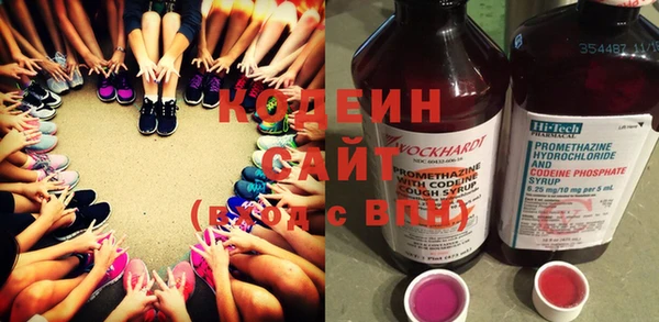 сатива Няндома