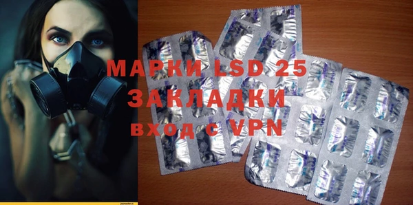 тгк Новозыбков