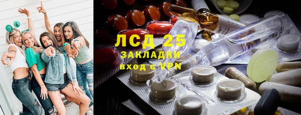тгк Новозыбков