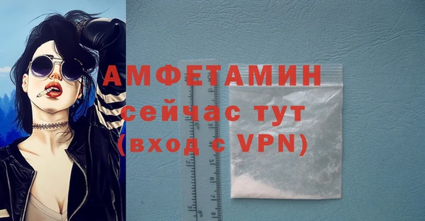 тгк Новозыбков