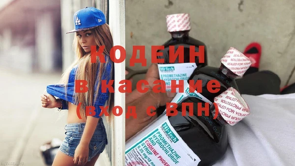 сатива Няндома